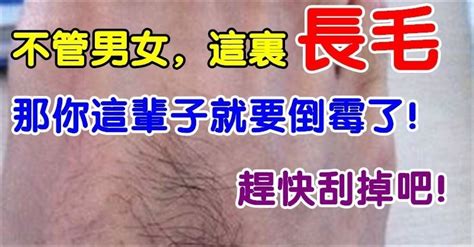 膝蓋長毛|不管男女，這裡長毛，那你這輩子就倒霉了！